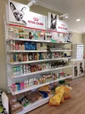 Миниатюра 5