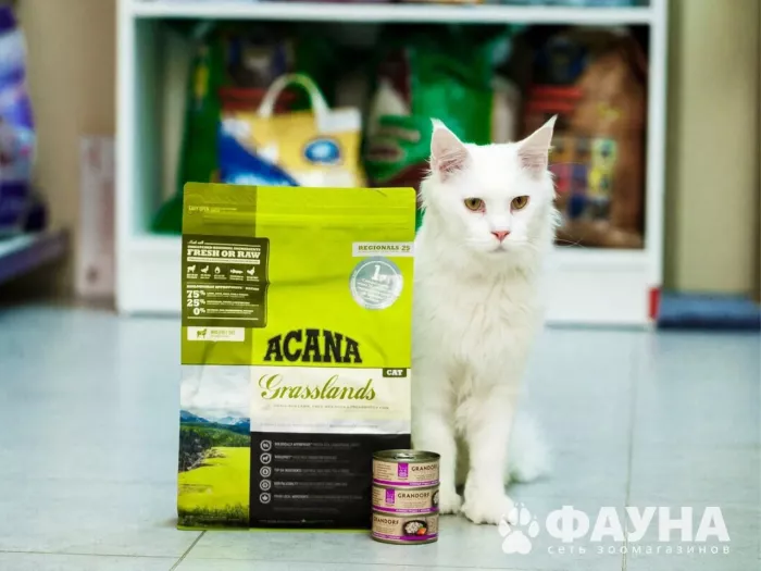  Зоомагазин "Фауна".