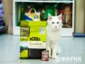 Миниатюра 8