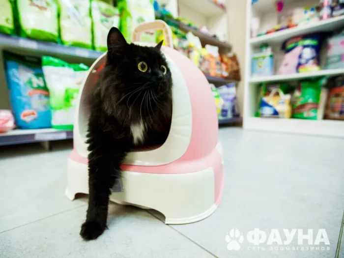 Зоомагазин "Фауна" на Пластунской.