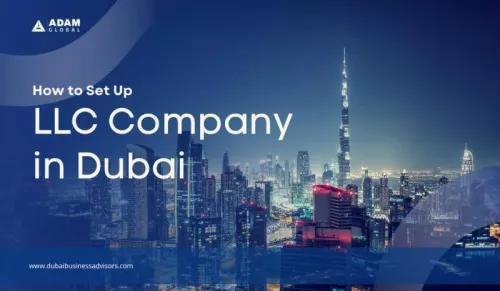 Бизнес-консалтинг Dubai business advisors  в  Дубаи