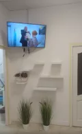 Миниатюра 6