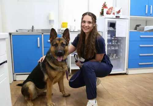 Ветеринарная клиника Айболит на ул.Голубые Дали в Сочи