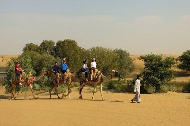 Музей Al Marmoom Heritage Village в Дубаи: Верблюжьи бега , Перевня в пустыни, Катание на верблюдах , Заповедник ,