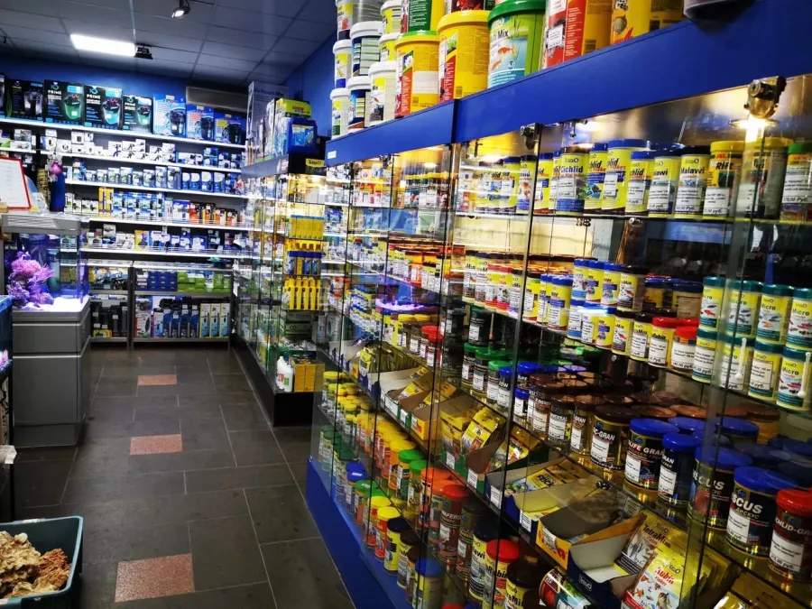 Зоомагазин Аквариум в Владивостоке: Зоомагазин, Аквариум, Магазин аквариумов, Рыбки,