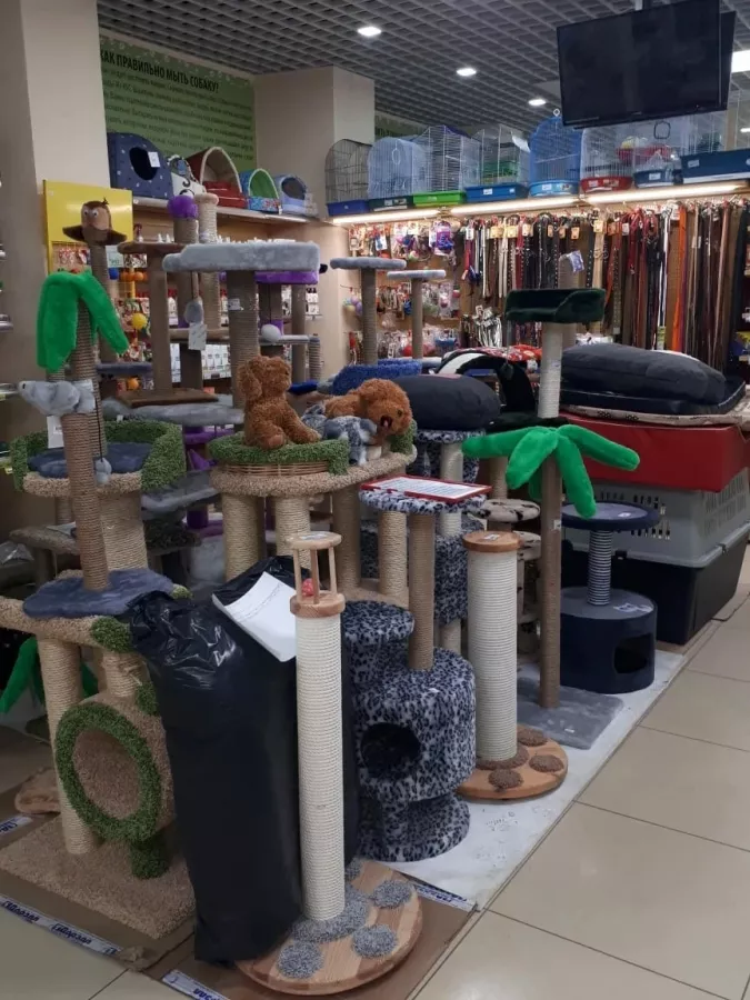 Зоомагазин ДогХаус на Верхнепортовая в Владивостоке: Зоомагазин, Зоотовары, Аквариум, Террариум, Животные,