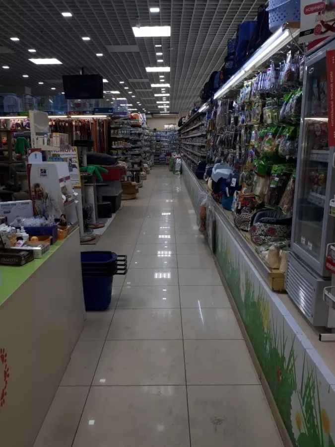 Зоомагазин ДогХаус на Верхнепортовая в Владивостоке: Зоомагазин, Зоотовары, Аквариум, Террариум, Животные,