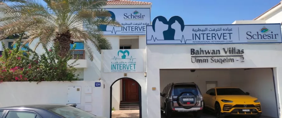 Ветеринарная клиника "Intervet Veterinary Clinic"