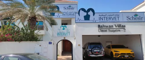 Ветеринарная клиника Intervet Veterinary Clinic в Дубаи
