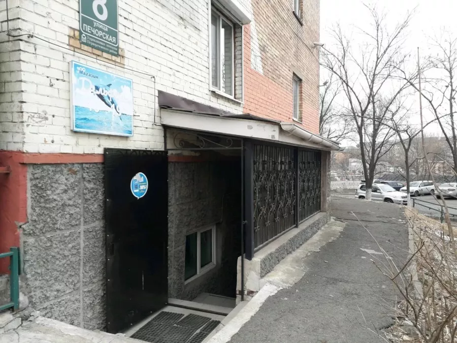 Магазин аквариумов Дельфин в Владивостоке: Магазин аквариум, Зоомир, Питомцы, Зоотовары, Аквариум,