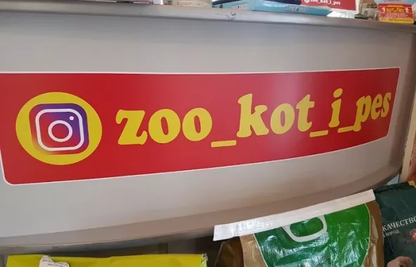 Зоомагазин "Кот & Пёс".