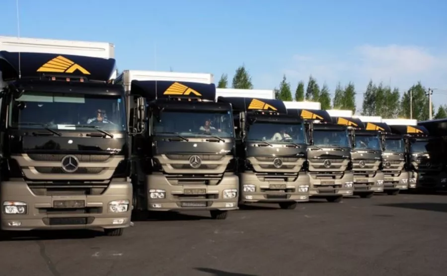 Транспортная компания Деловые Линии в Краснодаре: Перевозки, Городские автогрузоперевозки, Междугородные автогрузоперевозки, Экспедирование грузов, Авиагрузоперевозки, Услуги складского хранения,