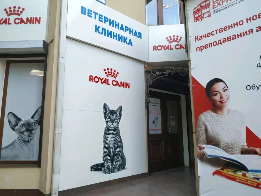 Ветеринарная клиника Вита Плюс в Сочи: Животные,