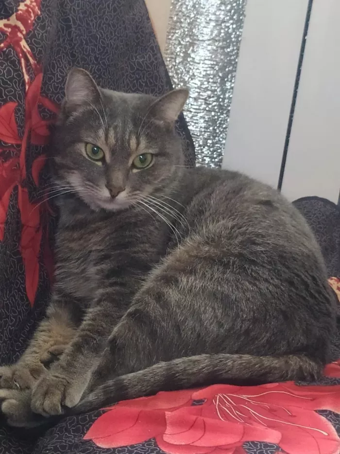  "Государственная ветеринарная клиника".