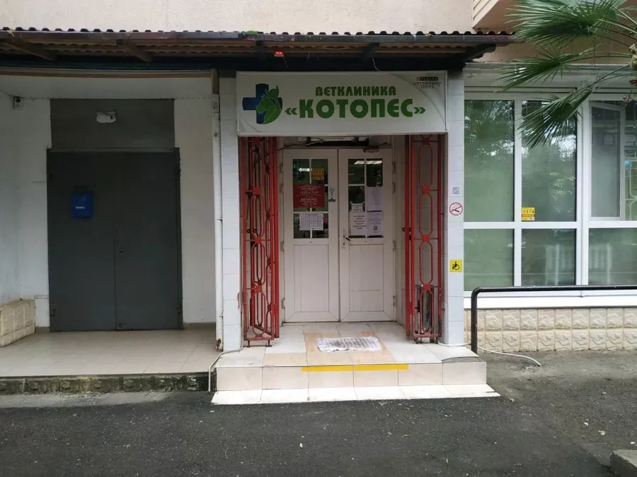 Ветеринарная клиника Котопес в Сочи: Ветеринарная клиника, Ветклиника, Питомцы, Ветаптека,