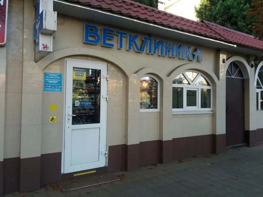 Ветеринарная клиника Лион в Сочи: Животные,