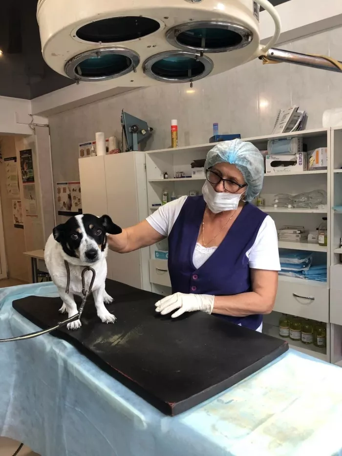  Ветеринарная клиника "Ника".