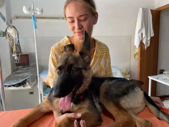  Ветеринарная клиника "Ника".