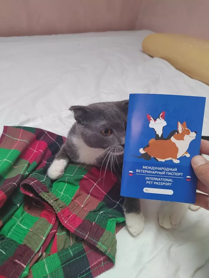  Ветеринарная клиника "Пульс".