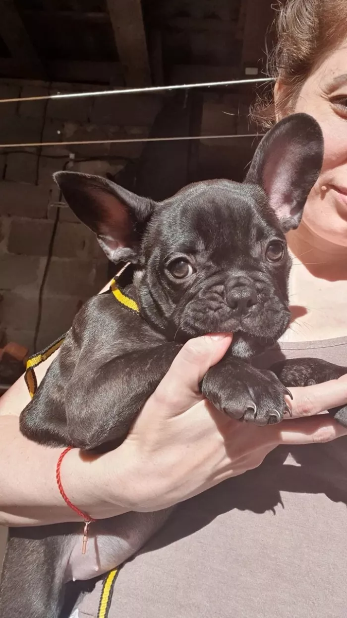  Ветеринарная клиника "Пульс".