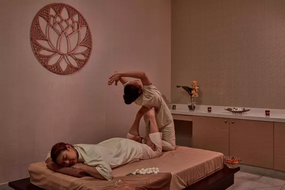 Спа комплекс "Spa Cenvaree"