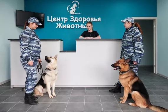 "Центр здоровья животных".