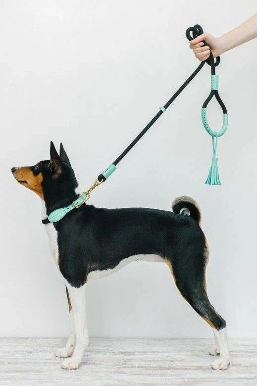 Зоомагазин "Верные друзья".