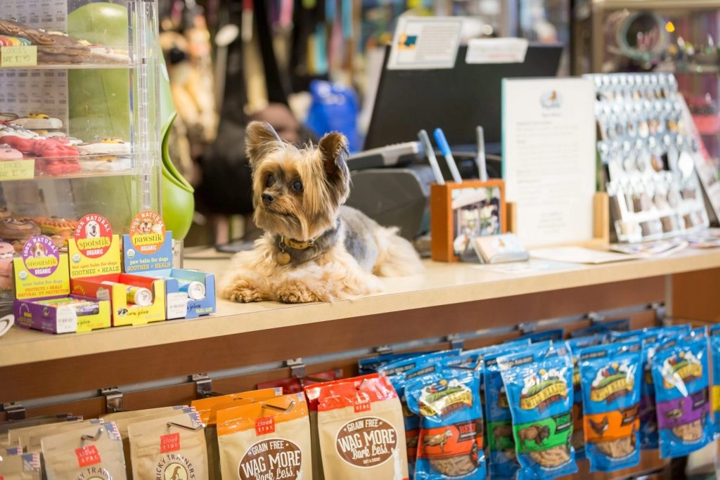 Зоомагазин "Любимый питомец".