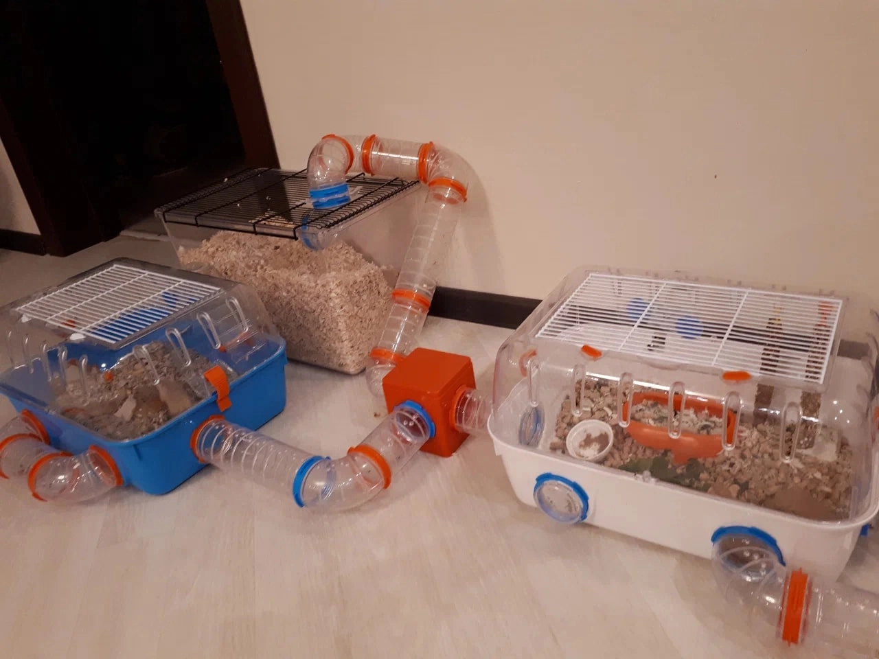 Зоомагазин "Кошки-Мышки".