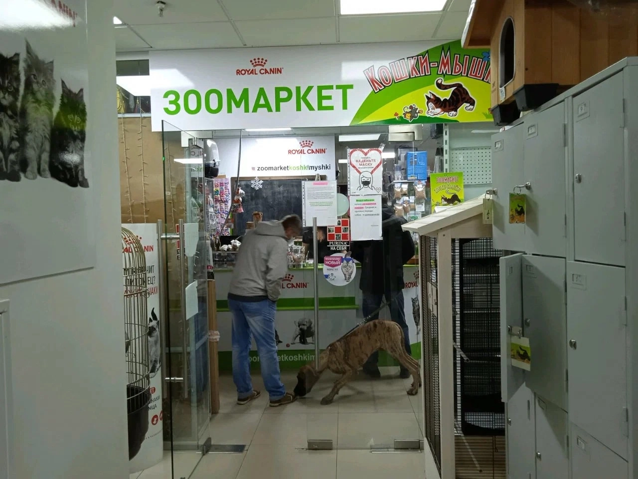 Зоомагазин "Кошки-Мышки".