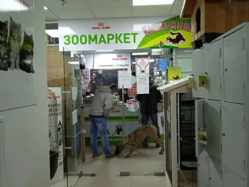 Зоомагазин "Кошки-Мышки".
