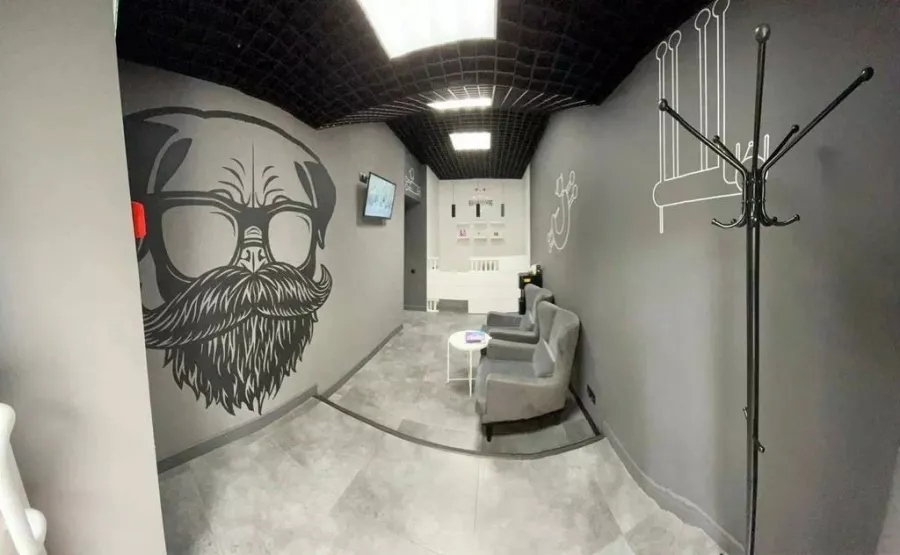 Зоосалон Barberdog в Владивостоке: Зоосалон, Зоопарикмахерская, Груминг, Питомцы,