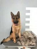 Миниатюра 6