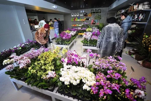 Магазин цветов Dushi Fangqun Gardening and Flower Market в Пекине