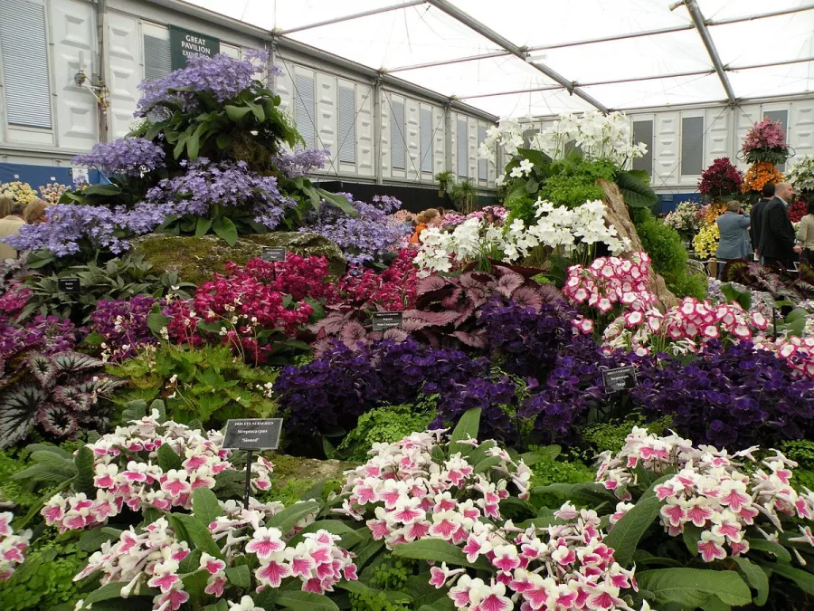 Магазин цветов Dushi Fangqun Gardening and Flower Market в Пекине: Доставка цветов, Букеты, Живые цветы, Цветочный,