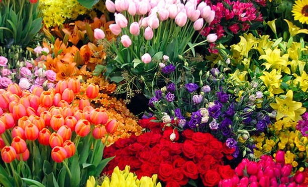 Магазин цветов Dushi Fangqun Gardening and Flower Market в Пекине: Доставка цветов, Букеты, Живые цветы, Цветочный,