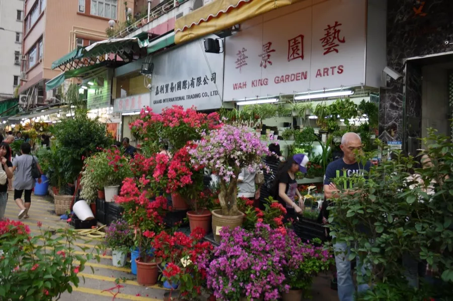 Магазин цветов Chong Wen Men Florist в Пекине: Доставка, Цветы, Разное,