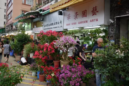 Магазин цветов Chong Wen Men Florist в Пекине