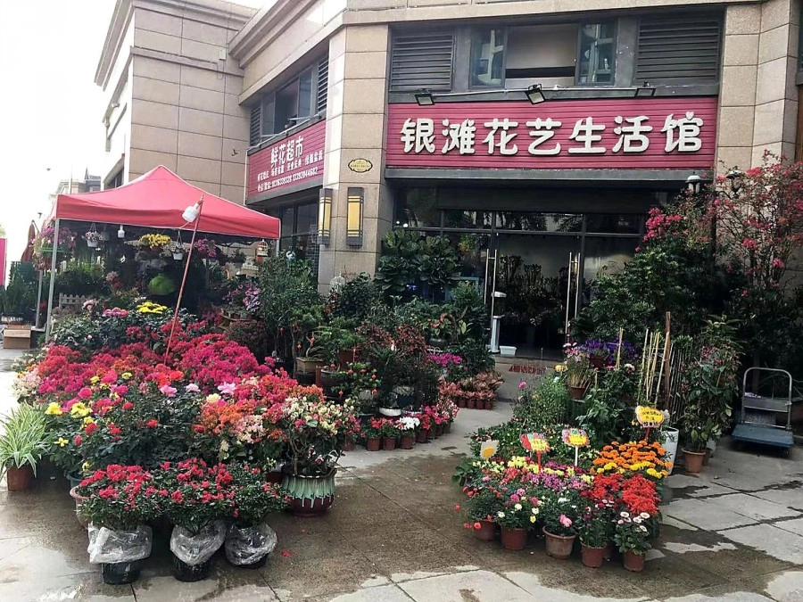 Магазин цветов Chong Wen Men Florist в Пекине: Доставка, Цветы, Разное,