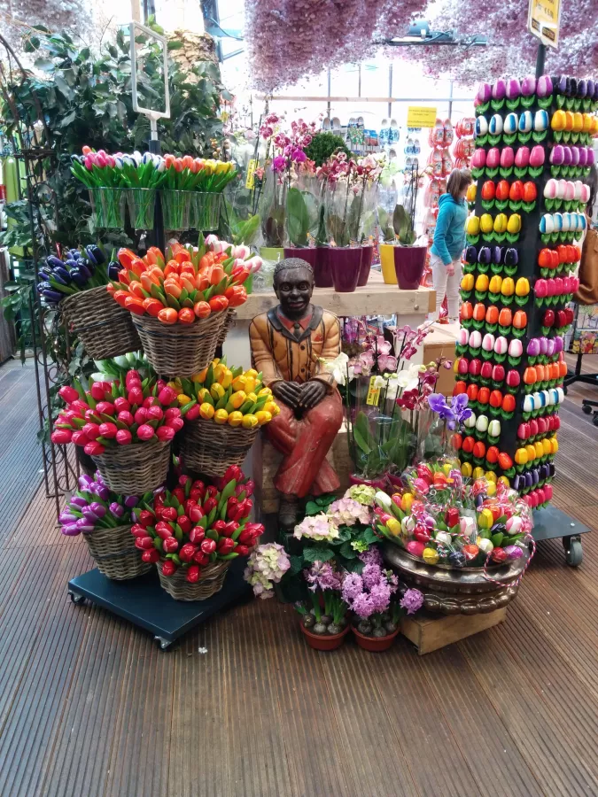 Магазин цветов Chong Wen Men Florist в Пекине: Доставка, Цветы, Разное,