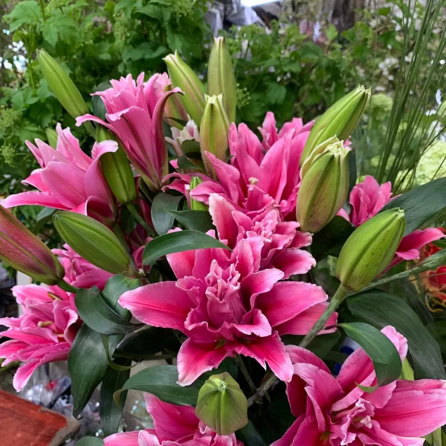Магазин цветов LaiTai Flower Market в Пекине: Доставка цветов, Букеты, Живые цветы, Цветочный,