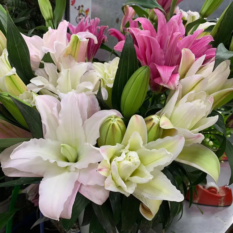 Магазин цветов LaiTai Flower Market в Пекине: Доставка цветов, Букеты, Живые цветы, Цветочный,