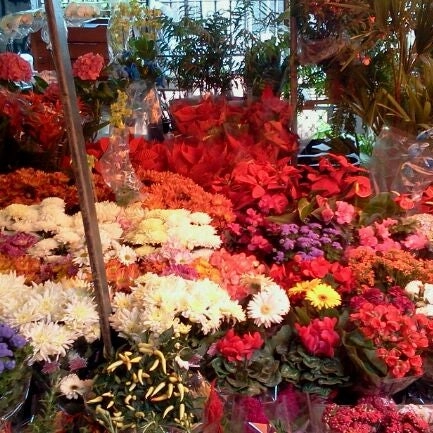 Магазин цветов Tongsha Flower Market в Пекине: Доставка, Цветы, Разное,