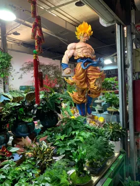 Магазин цветов «Chaolaichun Flower Market»