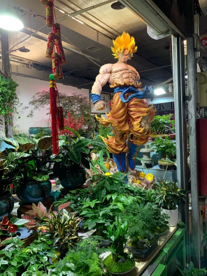 Магазин цветов Chaolaichun Flower Market в Пекине: Доставка цветов, Букеты, Живые цветы, Цветочный,