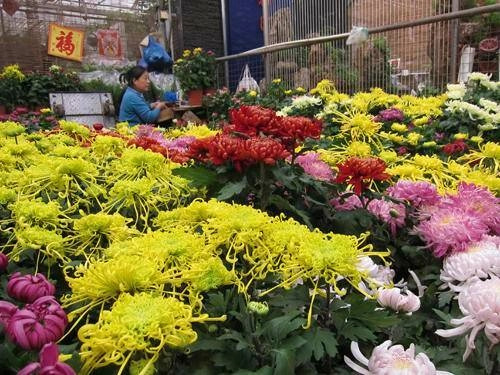 Магазин цветов Yuquanying Flower Market в Пекине
