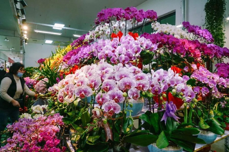 Магазин цветов Yuquanying Flower Market в Пекине: Доставка цветов, Букеты, Живые цветы, Цветочный,
