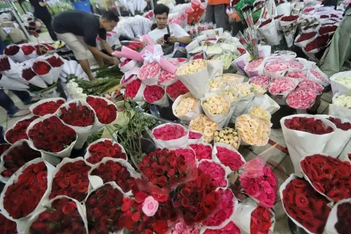 Магазин цветов Dasenlin Flower Market в Пекине