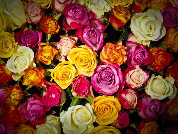 Магазин цветов Dasenlin Flower Market в Пекине: Доставка цветов, Букеты, Живые цветы, Цветочный,