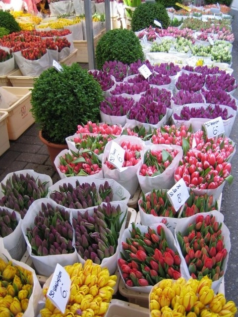 Магазин цветов Dasenlin Flower Market в Пекине: Доставка цветов, Букеты, Живые цветы, Цветочный,